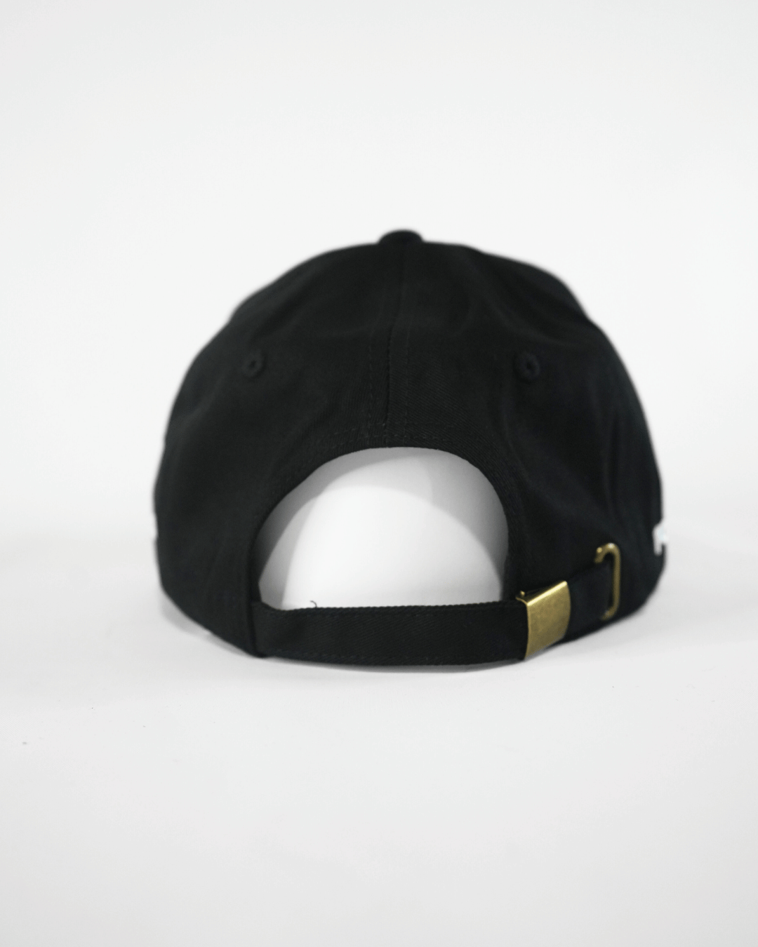 Torpid Dad Cap