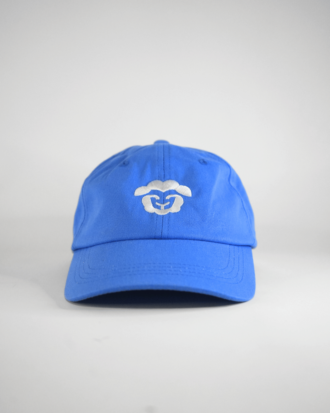 Torpid Dad Cap