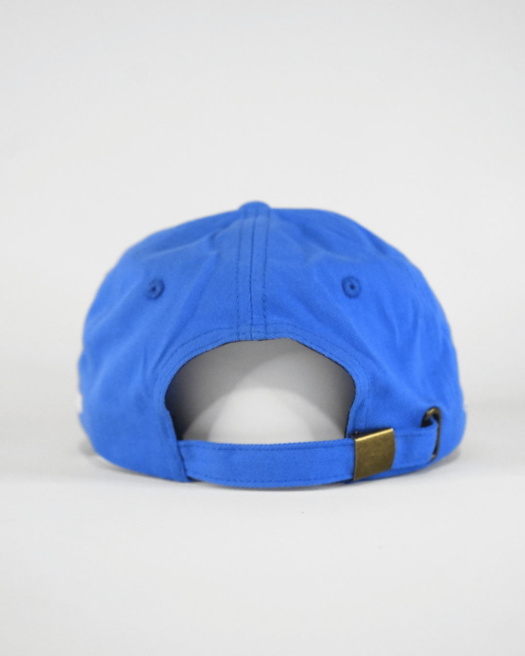 Torpid Dad Cap